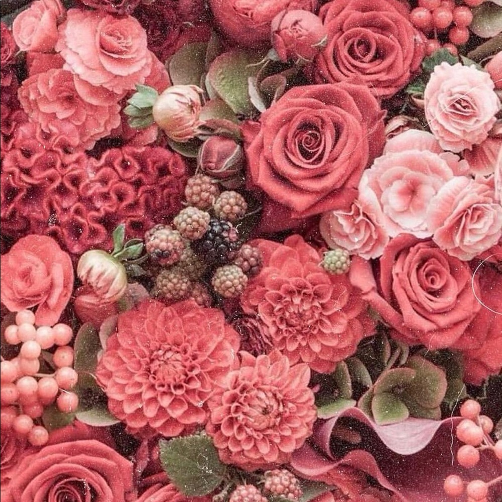 Meet your Posher, Reshonah